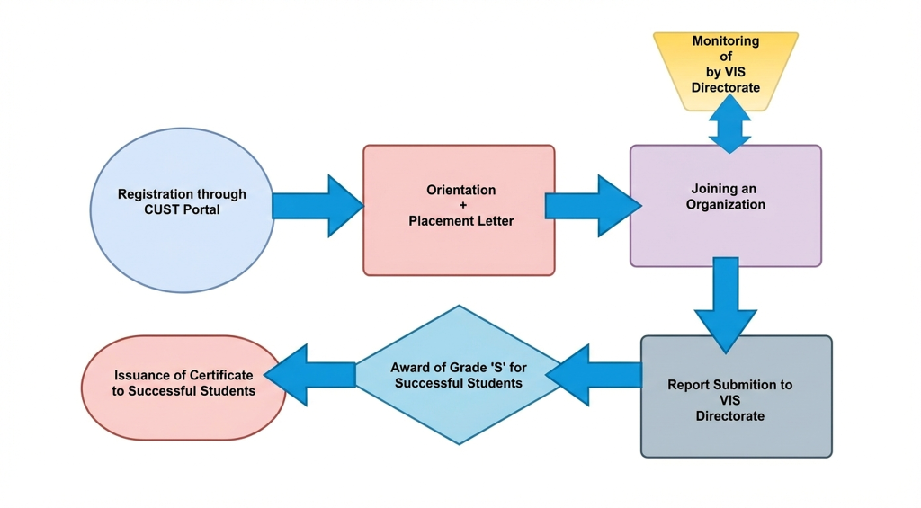 VIS-Roadmap